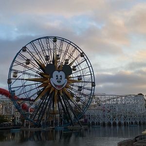 Meet your Posher, Lili